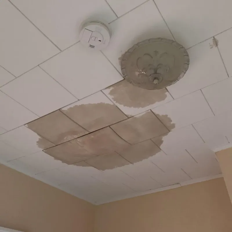 Ceiling Water Damage Repair in Erving, MA